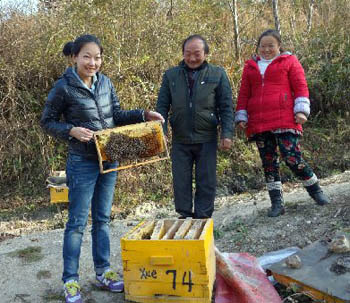 新闻资讯 海归创业      2010年王淑娟开办了"青川王氏蜂业"网店,入驻